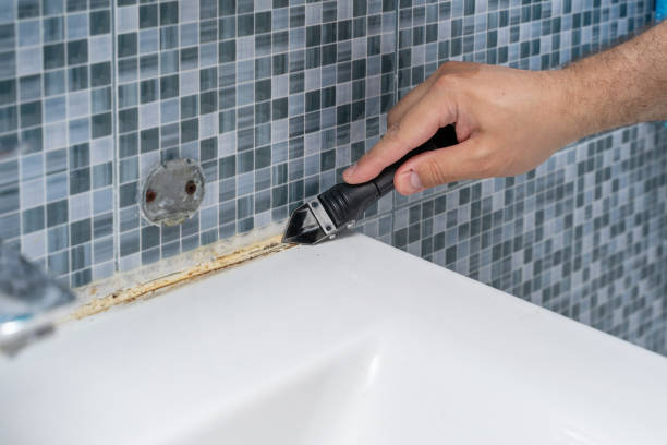 Best Mold Testing and Inspection Services in Pelion, SC